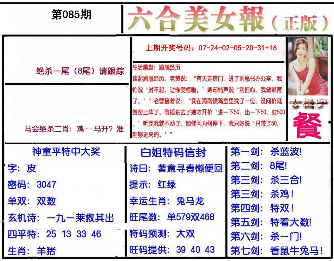 085期美女报[图]